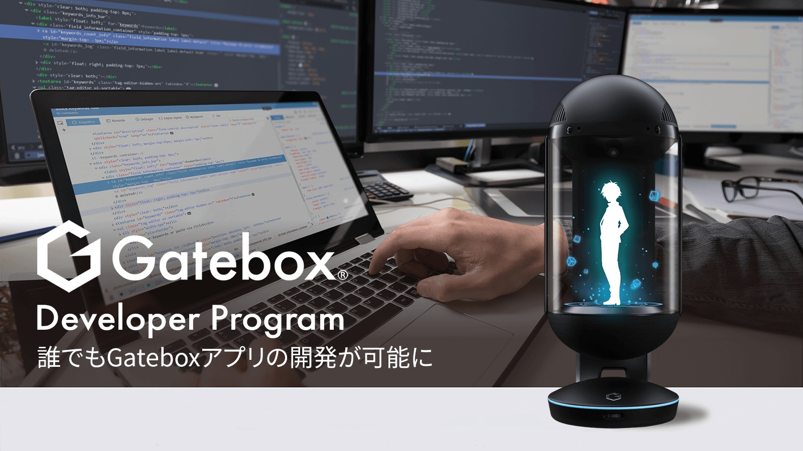 インタビュー 「Gatebox株式会社 Developer Program プラットフォーム構築」
